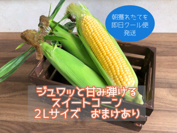 sweetcorn0703001